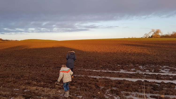 Freilernen für besondere Kinder – Hochbegabung, Lernschwierigkeiten und alles dazwischen