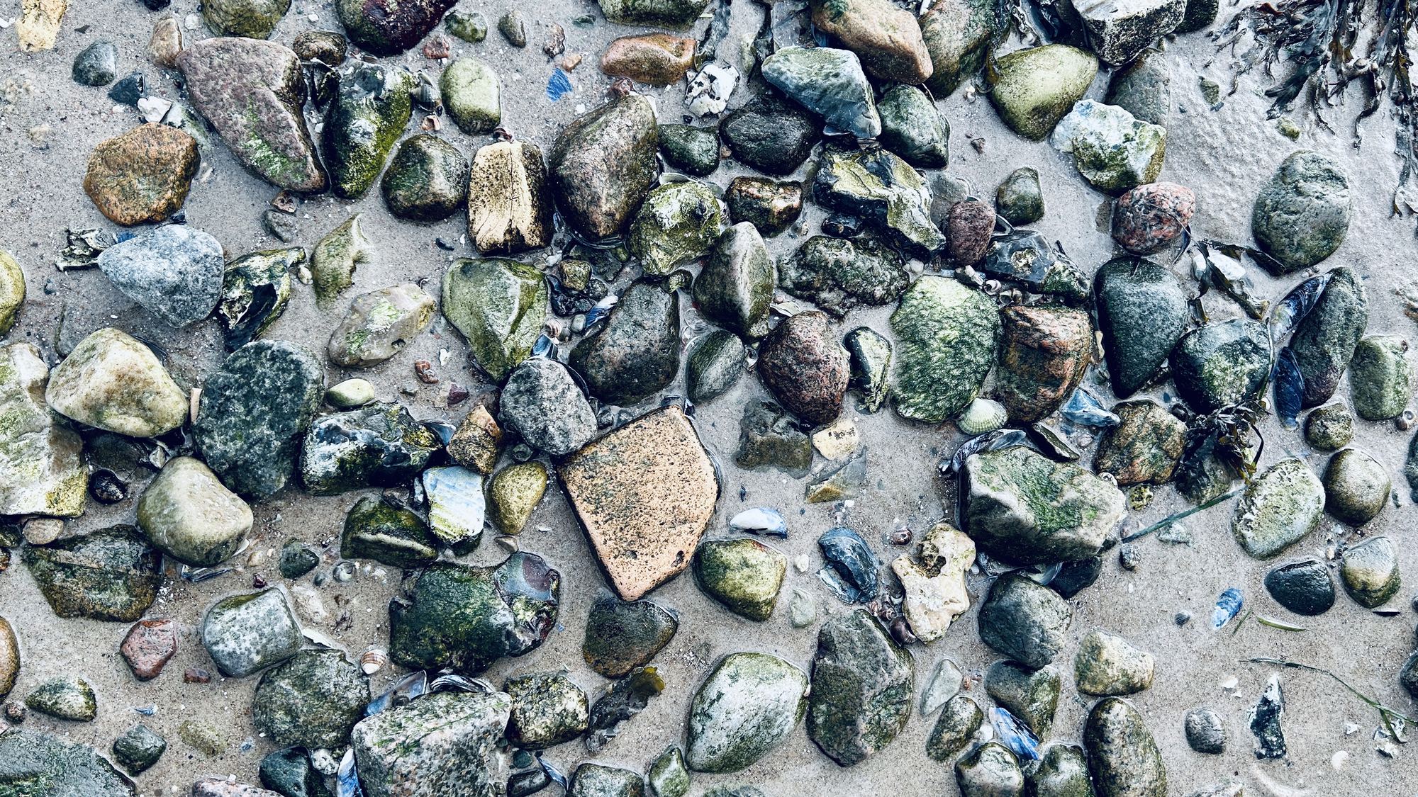 Alle Beiträge — Freilernen.dk