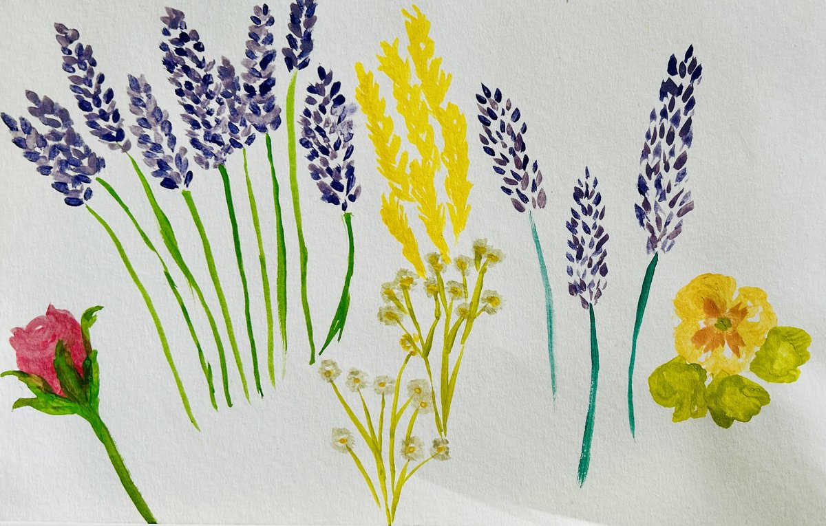 Watercolour painting: lavender stalks, baby's breath and yellow primroses